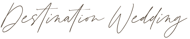 Destination Wedding Dream Team